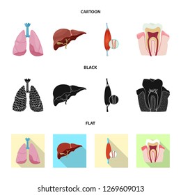 Isolated object of body and human icon. Collection of body and medical stock symbol for web.
