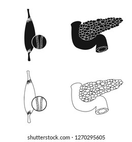 Isolated object of body and human icon. Set of body and medical stock vector illustration.