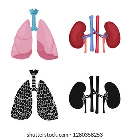 Isolated object of body and human icon. Set of body and medical stock vector illustration.