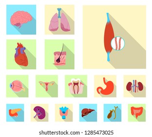 Isolated object of body and human icon. Collection of body and medical stock vector illustration.
