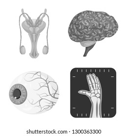 Isolated object of body and human icon. Set of body and medical stock vector illustration.