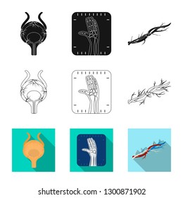 Isolated object of body and human icon. Collection of body and medical stock symbol for web.