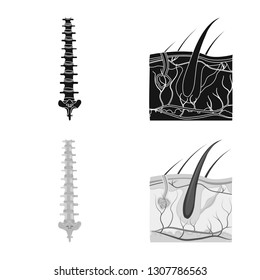 Isolated object of body and human icon. Collection of body and medical stock symbol for web.