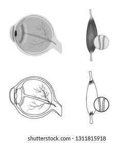 Isolated object of body and human icon. Set of body and medical stock symbol for web.