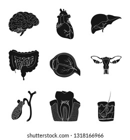 Isolated object of body and human icon. Collection of body and medical vector icon for stock.