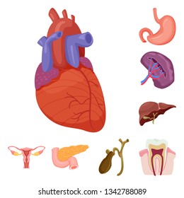 Isolated object of body and human icon. Collection of body and medical stock vector illustration.