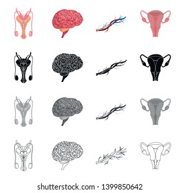 Isolated object of body and human icon. Collection of body and medical vector icon for stock.