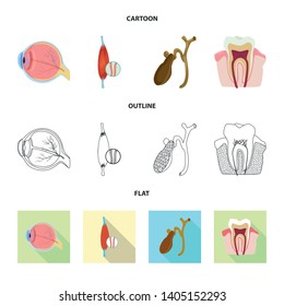 Isolated object of body and human icon. Collection of body and medical stock vector illustration.