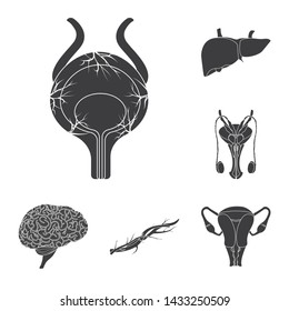 Isolated object of body and human icon. Set of body and medical vector icon for stock.