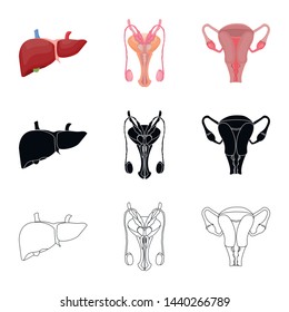Isolated object of body and human icon. Collection of body and medical stock symbol for web.