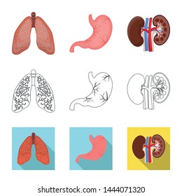 Isolated object of body and human icon. Collection of body and medical stock symbol for web.