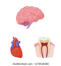 Isolated object of body and human logo. Set of body and medical stock vector illustration.