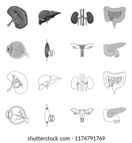 Isolated object of body and human logo. Set of body and medical stock vector illustration.