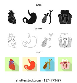 Isolated object of body and human logo. Set of body and medical stock symbol for web.