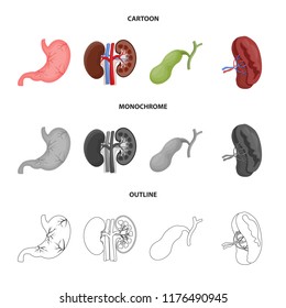 Isolated object of body and human logo. Collection of body and medical stock symbol for web.