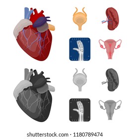 Isolated object of body and human logo. Collection of body and medical stock symbol for web.