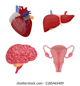 Isolated object of body and human logo. Set of body and medical stock vector illustration.