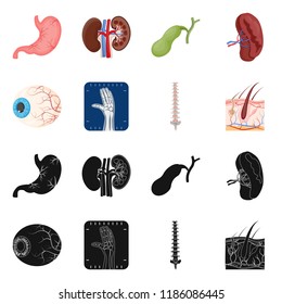 Isolated object of body and human logo. Collection of body and medical stock symbol for web.
