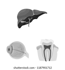 Isolated object of body and human logo. Set of body and medical stock symbol for web.