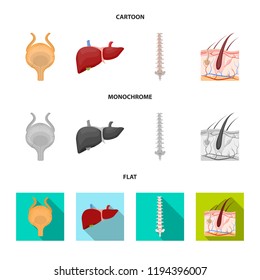 Isolated object of body and human logo. Set of body and medical stock vector illustration.