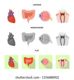Isolated object of body and human logo. Set of body and medical stock vector illustration.
