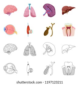 Isolated object of body and human logo. Set of body and medical stock vector illustration.