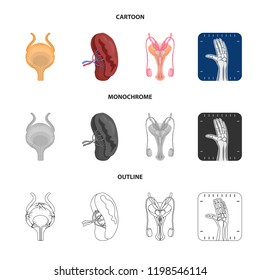 Isolated object of body and human logo. Set of body and medical vector icon for stock.