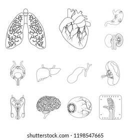 Isolated object of body and human logo. Set of body and medical stock vector illustration.