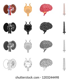 Isolated object of body and human logo. Collection of body and medical stock vector illustration.