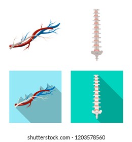 Isolated object of body and human logo. Set of body and medical stock vector illustration.