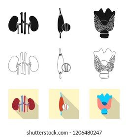 Isolated object of body and human logo. Set of body and medical vector icon for stock.