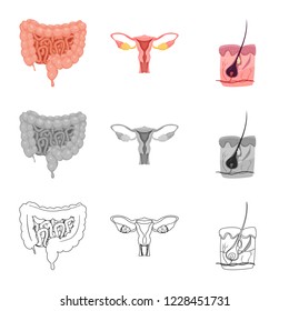 Isolated object of body and human logo. Collection of body and medical vector icon for stock.