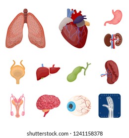 Isolated object of body and human logo. Set of body and medical stock vector illustration.