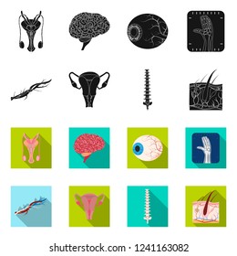 Isolated object of body and human logo. Collection of body and medical stock vector illustration.