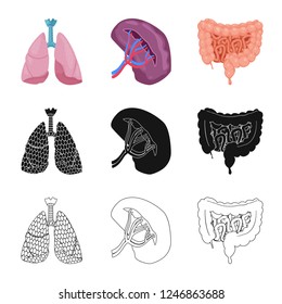 Isolated object of body and human logo. Set of body and medical vector icon for stock.