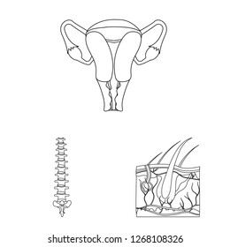 Isolated object of body and human logo. Set of body and medical stock vector illustration.