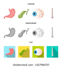 Isolated object of body and human logo. Collection of body and medical stock symbol for web.