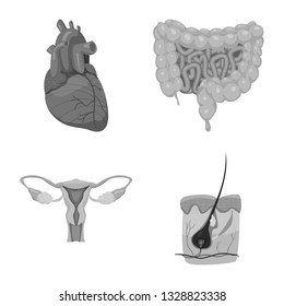 Isolated object of body and human logo. Collection of body and medical vector icon for stock.