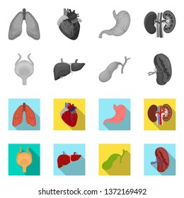 Isolated object of body and human logo. Set of body and medical stock vector illustration.