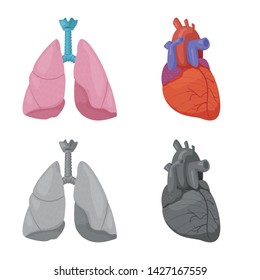 Isolated object of body and human logo. Set of body and medical vector icon for stock.