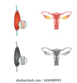 Isolated object of body and human logo. Collection of body and medical stock vector illustration.