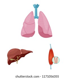 Isolated object of body and human sign. Collection of body and medical stock vector illustration.