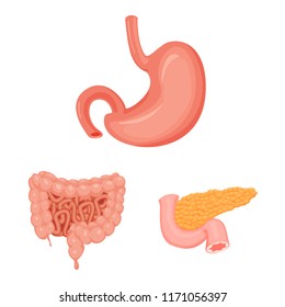 Isolated object of body and human sign. Set of body and medical stock symbol for web.