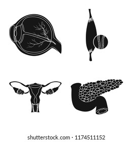 Isolated object of body and human sign. Set of body and medical vector icon for stock.