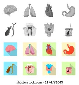 Isolated object of body and human sign. Collection of body and medical vector icon for stock.