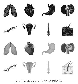 Isolated object of body and human sign. Collection of body and medical vector icon for stock.