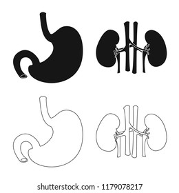 Isolated object of body and human sign. Collection of body and medical vector icon for stock.