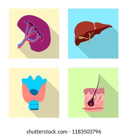 Isolated object of body and human sign. Collection of body and medical stock vector illustration.