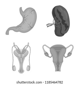 Isolated object of body and human sign. Collection of body and medical stock symbol for web.
