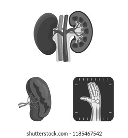 Isolated object of body and human sign. Collection of body and medical stock vector illustration.
